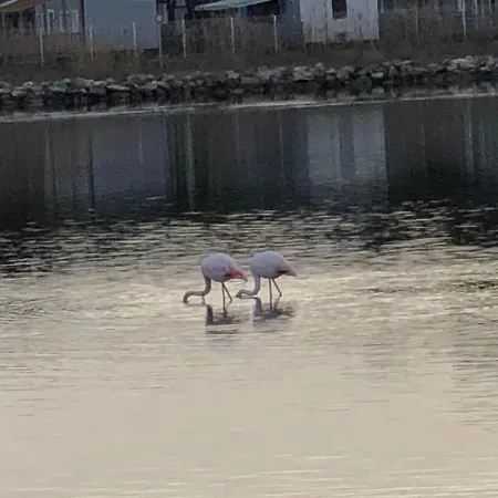 Barcaresa-agreable Vue Panoramique *