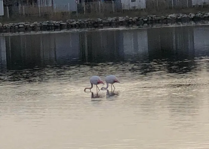 Barcaresa-agreable Vue Panoramique *